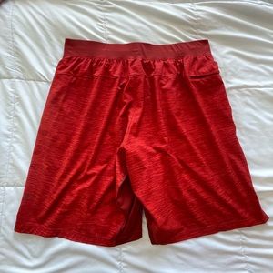 XL THE Shorts